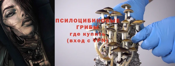 прущая мука Пестово