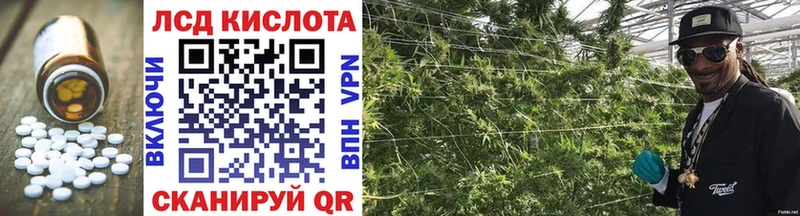 Купить закладки  Североморск  Лсд 25 экстази ecstasy 