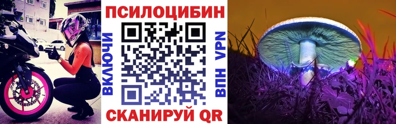 Купить  Североморск  Галлюциногенные грибы GOLDEN TEACHER 